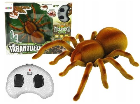 Zdalnie sterowany pająk tarantula Zdalnie sterowany pająk tarantula