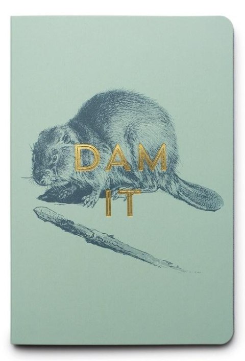 Zestaw Sticky Notes - Dam It Beaver Zestaw Sticky Notes - Dam It Beaver