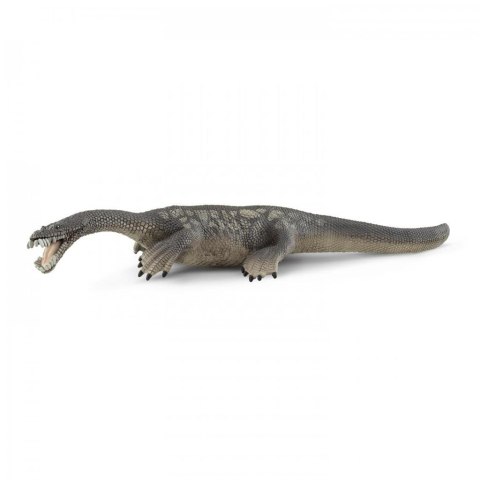 Notozaur Notozaur