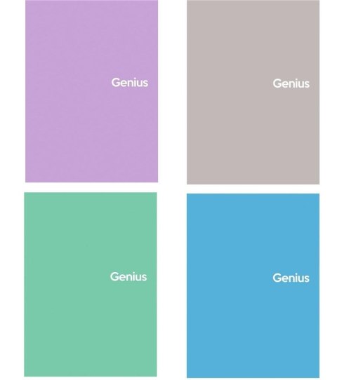 Kołozeszyt A5/80K kratka Genius mini 2 (4szt) Kołozeszyt A5/80K kratka Genius mini 2 (4szt)