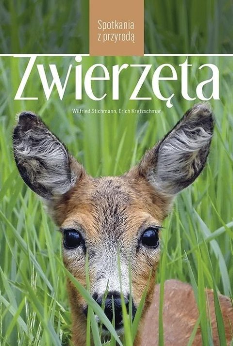 Zwierzęta. Spotkania z przyrodą Zwierzęta. Spotkania z przyrodą
