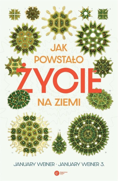 Jak powstało życie na Ziemi Jak powstało życie na Ziemi