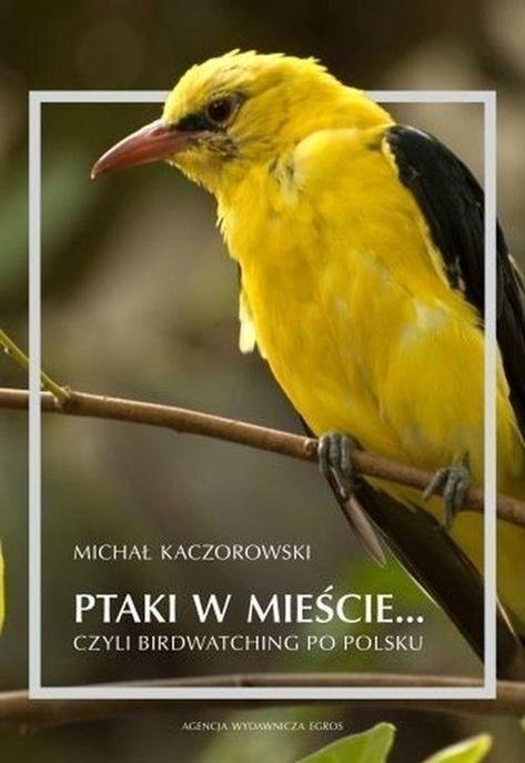 Ptaki w mieście, czyli birdwatching po polsku Ptaki w mieście, czyli birdwatching po polsku