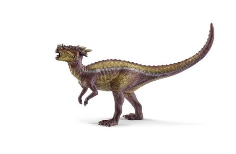 Dracorex Dracorex