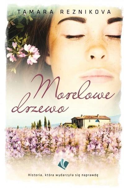 Morelowe drzewo Morelowe drzewo