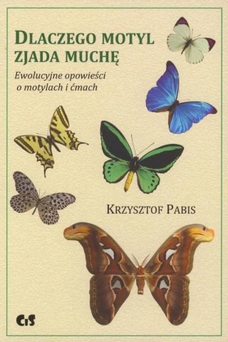 Dlaczego motyl zjada muchę