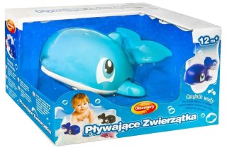 Pływające zwierzątka mix