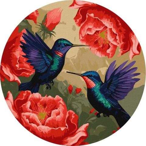 Malowanie po numerach - Kolorowe kolibry d39cm Malowanie po numerach - Kolorowe kolibry d39cm