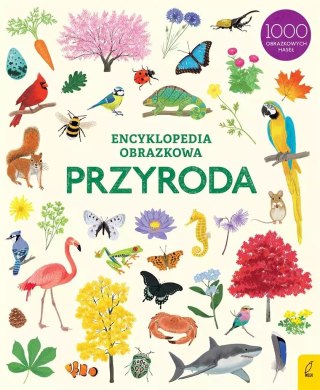 Encyklopedia obrazkowa Przyroda wyd.2/2022