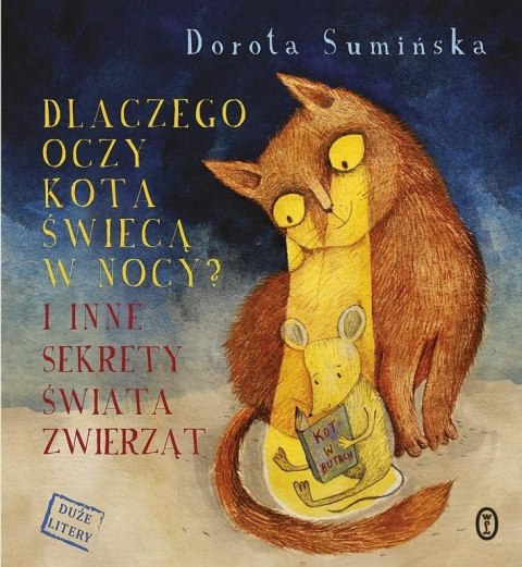 Dlaczego oczy kota świecą w nocy? Dlaczego oczy kota świecą w nocy?