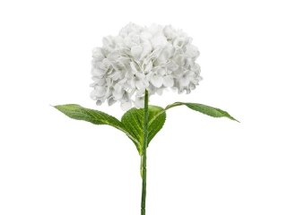 Hortensja Premium biała 69cm