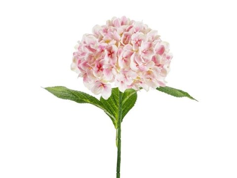 Hortensja Premium różowa 69cm Hortensja Premium różowa 69cm
