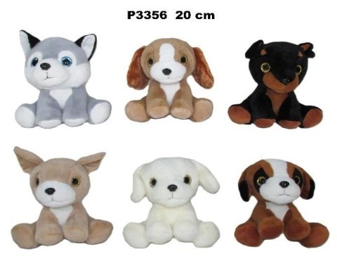 Pies 20cm MIX Pies 20cm MIX