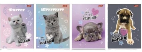 Zeszyt A5/32K linia 2kol My little friend (15szt) Zeszyt A5/32K linia 2kol My little friend (15szt)