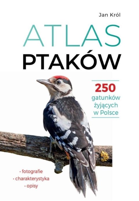 Atlas ptaków Atlas ptaków