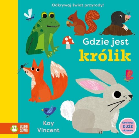 Gdzie jest królik Gdzie jest królik