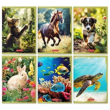 Zeszyt A5/16K linia podwójna Animals (20szt) Zeszyt A5/16K linia podwójna Animals (20szt)