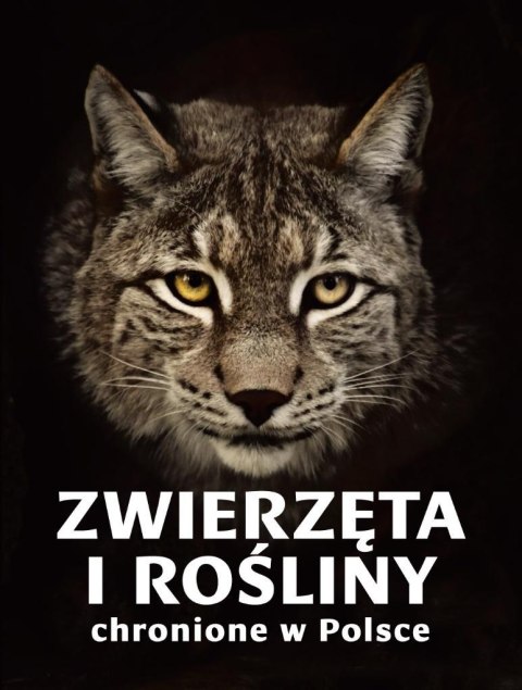Zwierzęta i rośliny chronione w Polsce Zwierzęta i rośliny chronione w Polsce