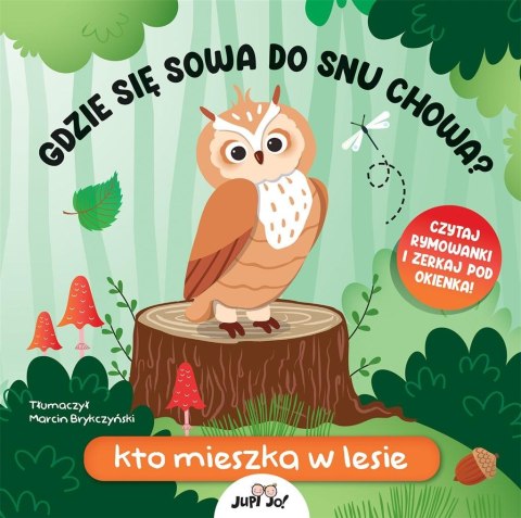 Gdzie się sowa do snu chowa? Kto mieszka w lesie Gdzie się sowa do snu chowa? Kto mieszka w lesie