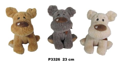 Pies 23cm MIX Pies 23cm MIX