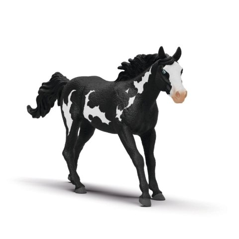 Wałach rasy Paint Horse Wałach rasy Paint Horse