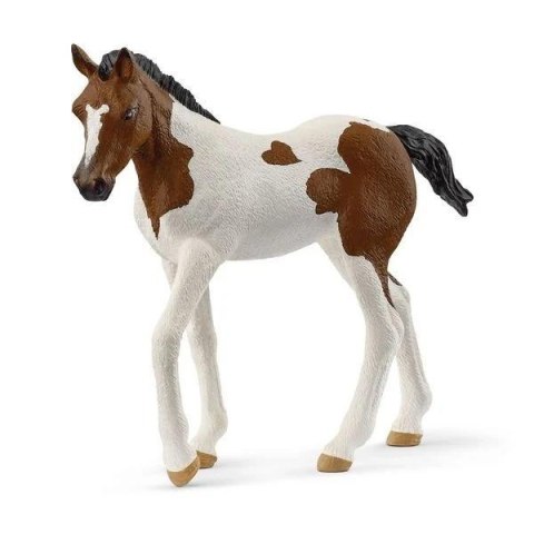 Źrebak rasy Paint Horse Źrebak rasy Paint Horse