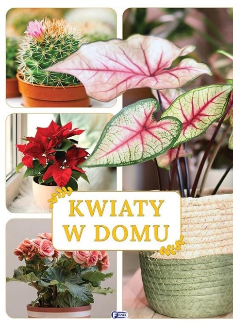 Kwiaty w domu Kwiaty w domu