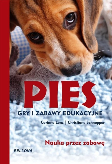 Pies. Gry i zabawy edukacyjne Pies. Gry i zabawy edukacyjne