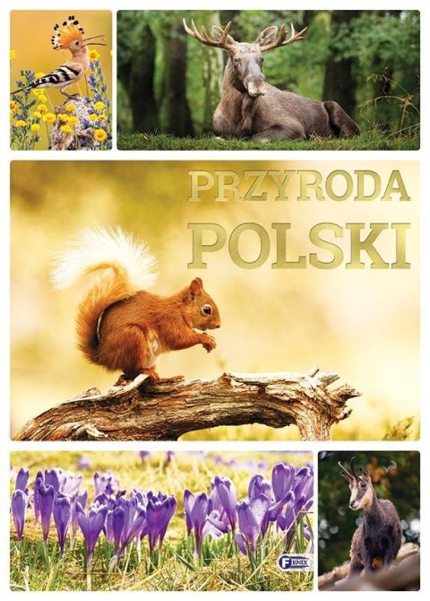 Przyroda Polski Przyroda Polski