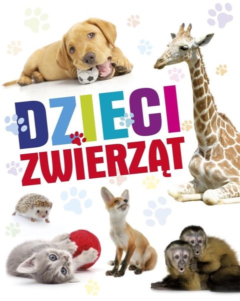 Dzieci zwierząt Dzieci zwierząt