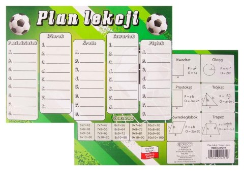 Plan lekcji A5 Piłka (25szt) Plan lekcji A5 Piłka (25szt)