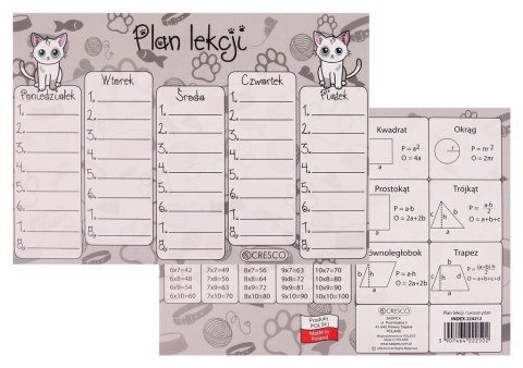 Plan lekcji A5 Brytyjczyk (25szt) Plan lekcji A5 Brytyjczyk (25szt)