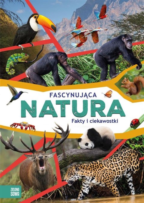Fascynująca natura Fascynująca natura