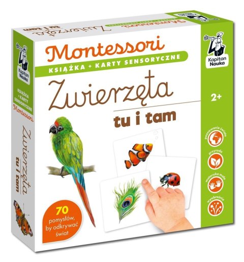 Montessori. Zwierzęta tu i tam. Karty sensoryczne Montessori. Zwierzęta tu i tam. Karty sensoryczne