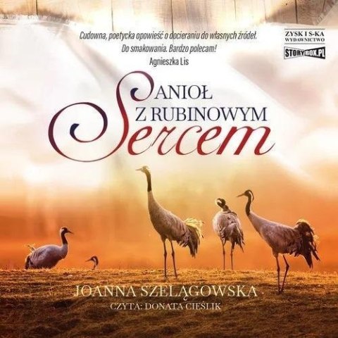 Anioł z rubinowym sercem CD Anioł z rubinowym sercem CD