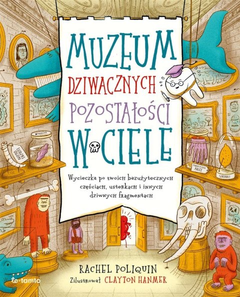 Muzeum dziwacznych pozostałości w ciele Muzeum dziwacznych pozostałości w ciele