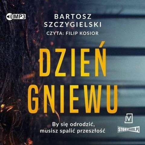 Dzień gniewu audiobook Dzień gniewu audiobook