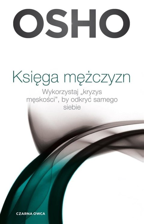 Księga mężczyzn. Wykorzystaj kryzys męskości.. Księga mężczyzn. Wykorzystaj kryzys męskości..