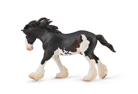 Ogier Clydesdale maści Black Sabino Ogier Clydesdale maści Black Sabino