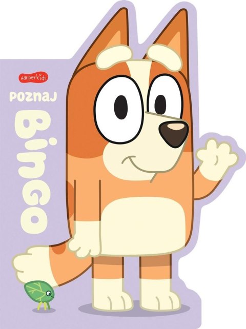 Poznaj Bingo. Książeczki kartonowe Poznaj Bingo. Książeczki kartonowe
