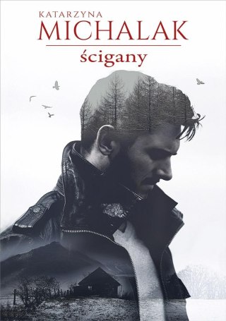 Ścigany w.2