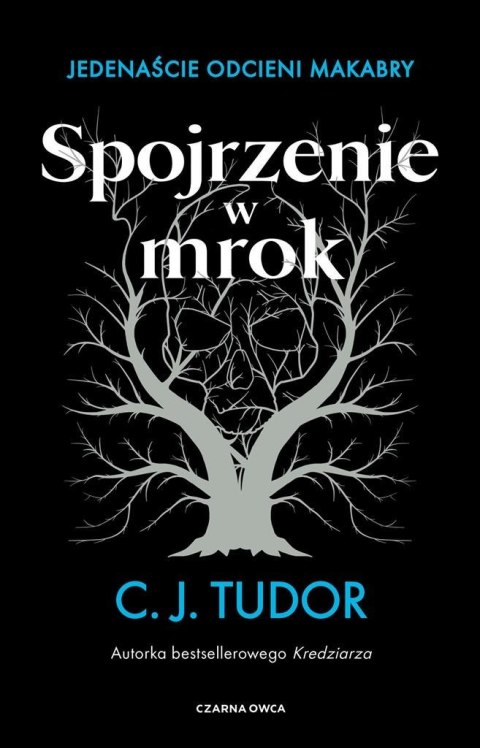Spojrzenie w mrok. Jedenaście odcieni makabry Spojrzenie w mrok. Jedenaście odcieni makabry