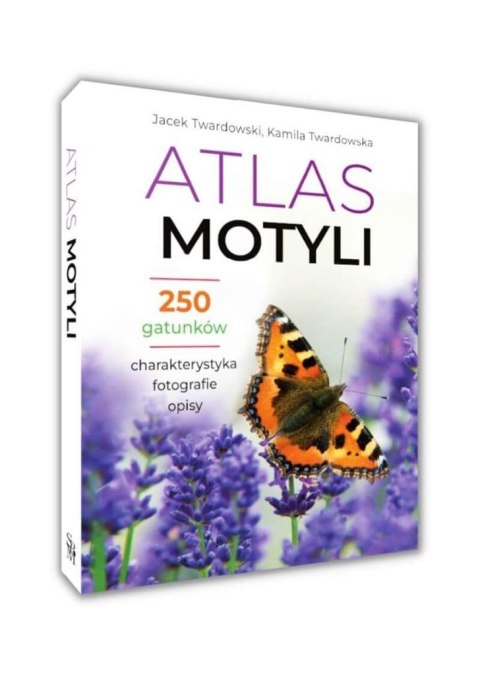 Atlas motyli Atlas motyli