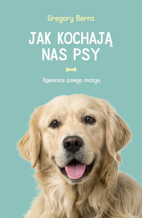 Jak kochają nas psy Jak kochają nas psy