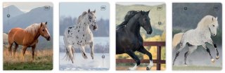 Zeszyt A5/32K 3kol linia 70g UV Wild Horses(10szt)