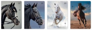 Zeszyt A5/32K kratka M 70g UV Wild Horses (10szt)