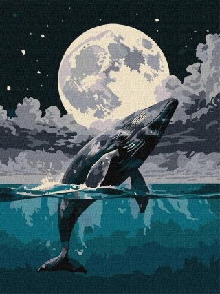 Malowanie po numerach - Skok do nieba 30s40cm