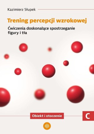 Trening percepcji wzrokowej. Część C ćwiczenia