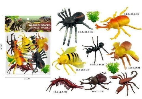 Insekty Insekty