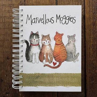 Kołonotatnik A5/100K 4 koty TW